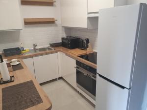 莱什诺Good Time Apartaments Sienkiewicza的厨房配有白色橱柜和黑色冰箱。