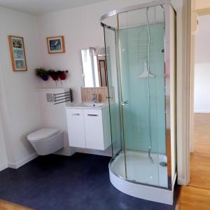 Radinghem-en-WeppesAppartement Calme Et Lumineux的一间带玻璃淋浴和卫生间的浴室