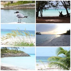 Gregory TownSea view Pointe的海滩上四张不同的照片,上面有一只鸟