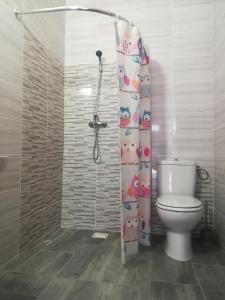 什切齐内克Agroturystyka Alex的一间带卫生间和淋浴帘的浴室