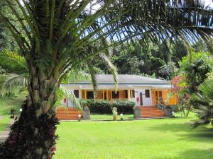 圣克洛德莱斯苏铁度假屋的前面有棕榈树的房子