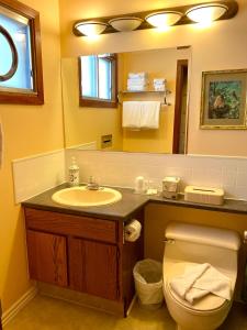 镭温泉Rocky Mountain Springs Lodge的一间带水槽、卫生间和镜子的浴室