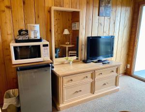 镭温泉Rocky Mountain Springs Lodge的厨房配有微波炉、电视和冰箱。
