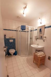 滨湖伦茨LunzFerien的带淋浴、盥洗盆和卫生间的浴室