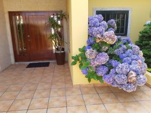 Vila ChãFerienhaus Casa do mar mit seitlichem Meerblick的门边的一束紫色花