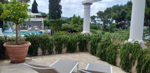 阿纳卡普里大熊座酒店的庭院配有两把白色椅子和盆栽植物