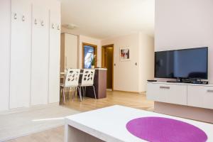 布拉戈耶夫格勒天空公寓酒店的带平面电视的客厅和客厅。