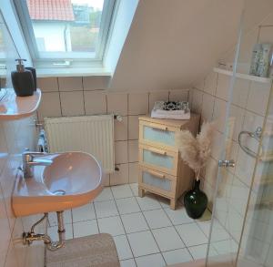 阿布斯贝格Ferienwohnung Schwalbennest am Igelsbachsee的一间带水槽和淋浴的浴室