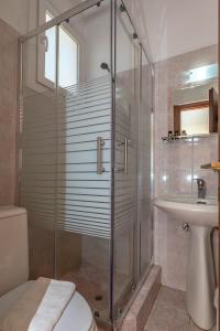 亚历山德鲁波利斯阿尔肯酒店的带淋浴、卫生间和盥洗盆的浴室