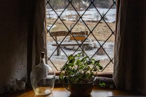 布莱德Marko's eco cabin的桌子上装有植物和瓶子的窗户