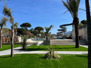 滨海阿热莱斯雷平塔克松露营酒店的棕榈树公园和建筑