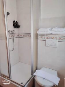 阿特斯特坦Pension Artstetten的白色的浴室设有卫生间和淋浴。