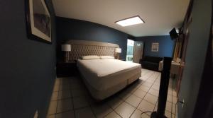 阿瓜斯卡连特斯Hotel el Cortes的一间卧室设有一张床和蓝色的墙壁