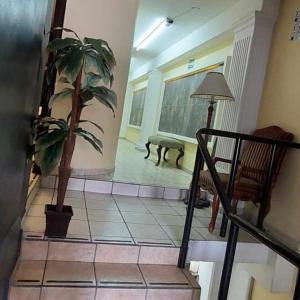 阿瓜斯卡连特斯Hotel el Cortes的一间客厅,里面种植了盆栽植物,设有楼梯