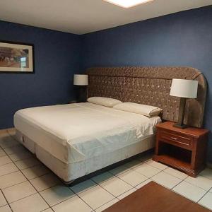 阿瓜斯卡连特斯Hotel el Cortes的一间卧室设有一张大床和蓝色的墙壁