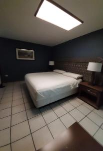 阿瓜斯卡连特斯Hotel el Cortes的一间卧室设有一张大床,天花板上拥有灯光