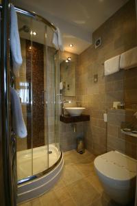 圣大卫Ramsey House - Luxury Licensed B&B - Parking and Guest Lounge的带淋浴、卫生间和盥洗盆的浴室