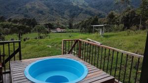 萨兰托Ecohotel Pinohermoso Reserva Natural的木甲板上的一个蓝色飞盘