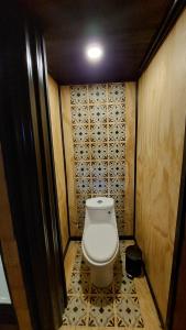 卡斯特鲁Glamping Domo Pullao的一间小浴室,内设卫生间
