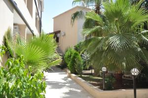 BeldibiAkasia Resort Hotel的棕榈树庭院和建筑