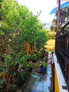 阿齐欧斯·贡多斯索菲亚玛格丽塔旅馆的种有鲜花和植物的花园,围栏