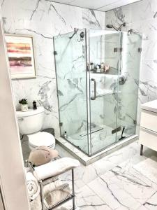 普罗维登斯Luxury and cozy 1 Bed Condo in the heart of Providence的一间带玻璃淋浴和卫生间的浴室