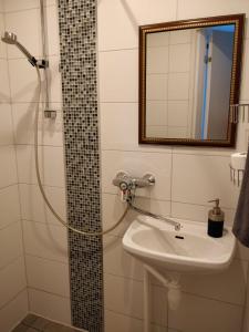 RaisioGasthaus Henri的带淋浴和盥洗盆的浴室