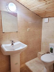 第比利斯Homelike B&B的一间带水槽和卫生间的浴室