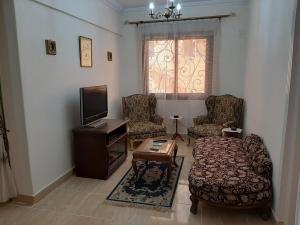 开罗Small Friendly Apart In a Villa - New Cairo 5th Settlement的带沙发和电视的客厅