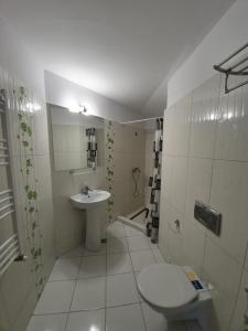 斯塔纳德瓦勒Vila IZVORUL MINUNILOR的一间带水槽和卫生间的浴室