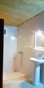 PoponguineBelle villa的带淋浴和盥洗盆的浴室