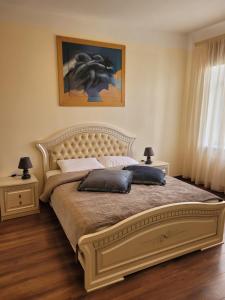 塔尔西Talsi 2 rooms and backyard的一间卧室配有一张大床和两个枕头