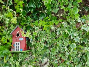 拉布鲁吉Smiling Places - Guest House in Labruge的灌木丛中的一只小红鸟房子