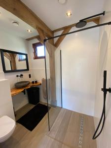 赞德沃特Zantverde的带淋浴、卫生间和盥洗盆的浴室