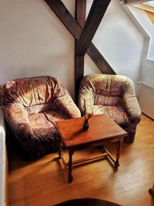 DumbrăveniHOTEL MARION的客厅配有两把椅子和一张茶几