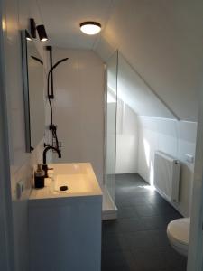 泰尔霍讷55 Bytling的一间带水槽、淋浴和卫生间的浴室