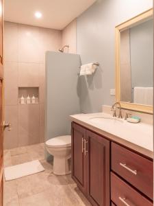 格兰德海滩Palm Beach Inn的一间带水槽、卫生间和淋浴的浴室
