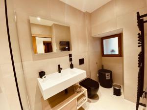 福龙河畔拉罗什Appartement confortable et moderne的一间带水槽和卫生间的浴室