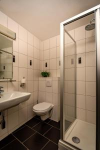 法尔肯堡哈尔斯曼酒店的浴室配有卫生间、盥洗盆和淋浴。