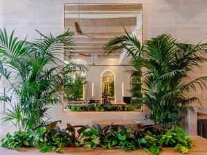 里斯本Browns Avenue Hotel的一间设有植物和桌子的房间,以及镜子