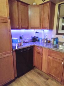 兰辛Outdoor Hottub, Private Entrance的厨房配有木制橱柜和黑色洗碗机。