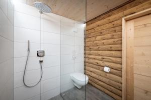 UmlbergWichtelhütte Silberregion Karwendel的一间带卫生间和玻璃淋浴间的浴室