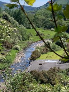 特里迪格Cosy, dog friendly house on the fringe of the Brecon Beacons的树木林立的河