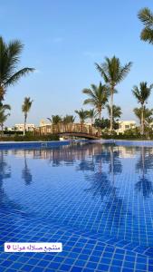 塞拉莱Hawana salalah Apartment Mimosa的一座棕榈树环绕的大型游泳池