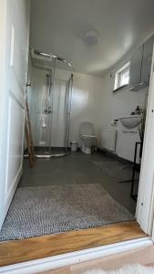 摩尔比兰加Stugor - Lgh sodra Oland的带淋浴、卫生间和盥洗盆的浴室
