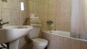 圣佩德罗·德·阿塔卡马Hostal Casa Turipite的浴室配有卫生间、盥洗盆和浴缸。