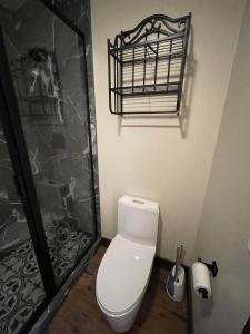 卡纳布The Kanab Lodge的带淋浴的浴室内的白色卫生间