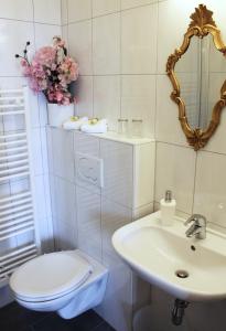 因斯布鲁克斯托伊经济型酒店的一间带卫生间、水槽和镜子的浴室