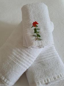 阿布拉奥Ohana suíte Abraão - Ilha Grande的白餐巾上方的红花