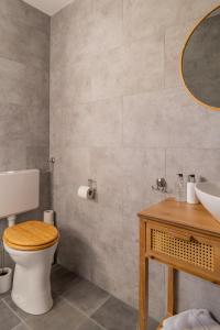 GasselteB&B De Buren的一间带卫生间、水槽和镜子的浴室